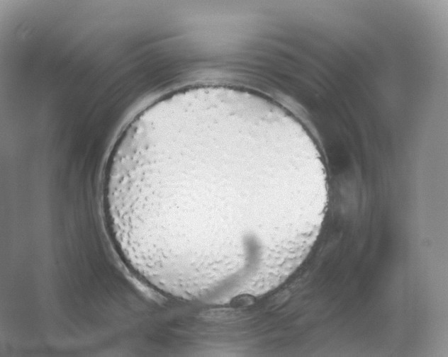 X0000066971437200604142129