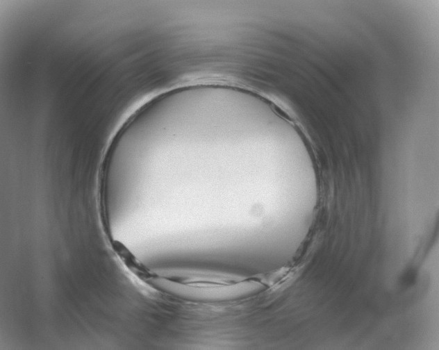 X0000066971438200604142129