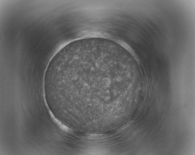 X0000066971439200604142129