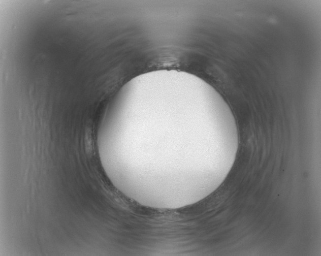 X0000066971442200604142129