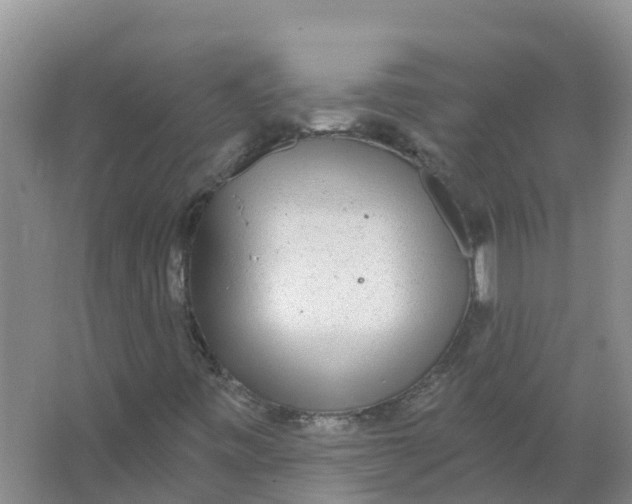 X0000066971443200604142129