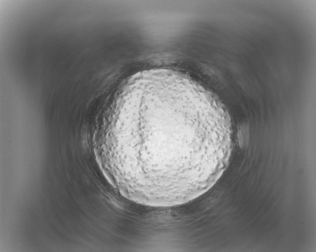 X0000066971444200604142129