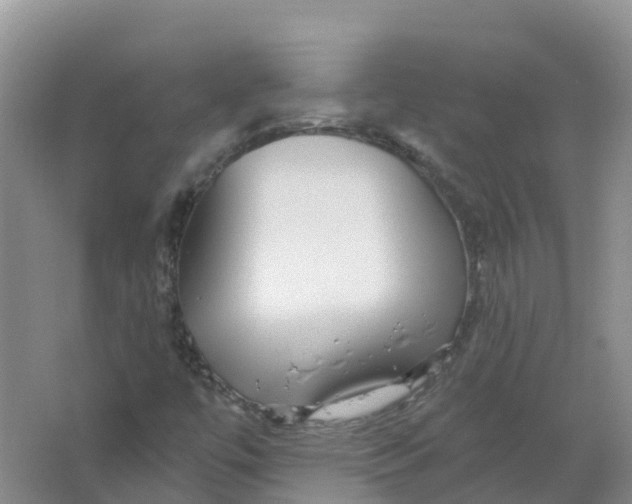 X0000066971447200604142128