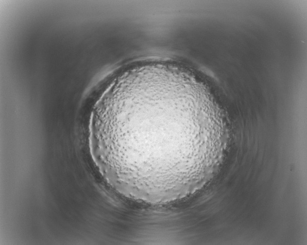 X0000066971448200604142128