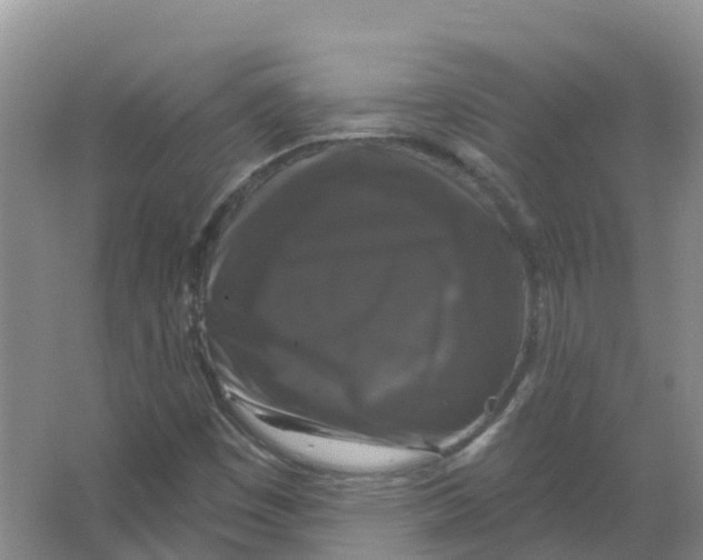 X0000066971449200604142128