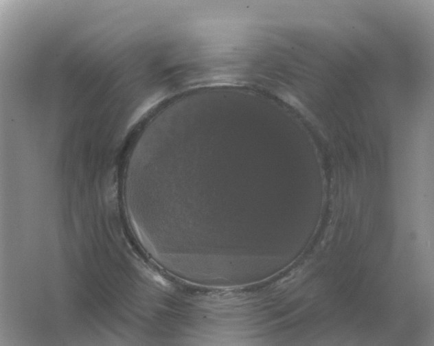 X0000066971450200604142128