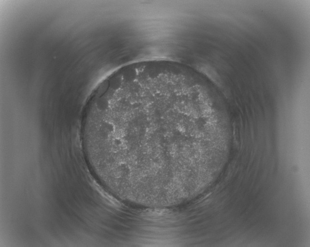 X0000066971452200604142128