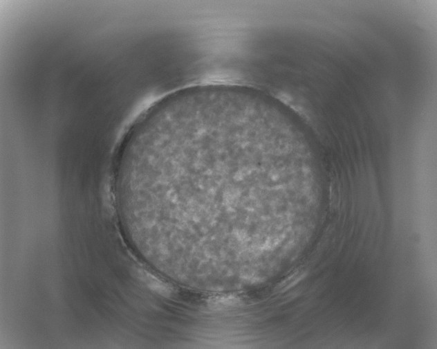 X0000066971454200604142128