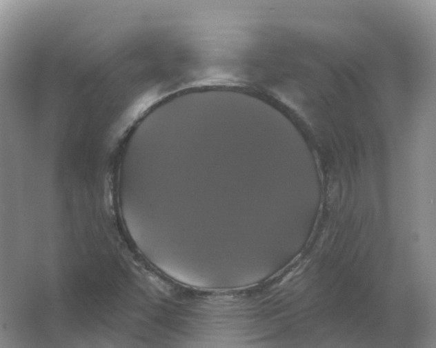 X0000066971455200604142128