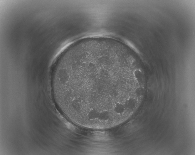 X0000066971456200604142128