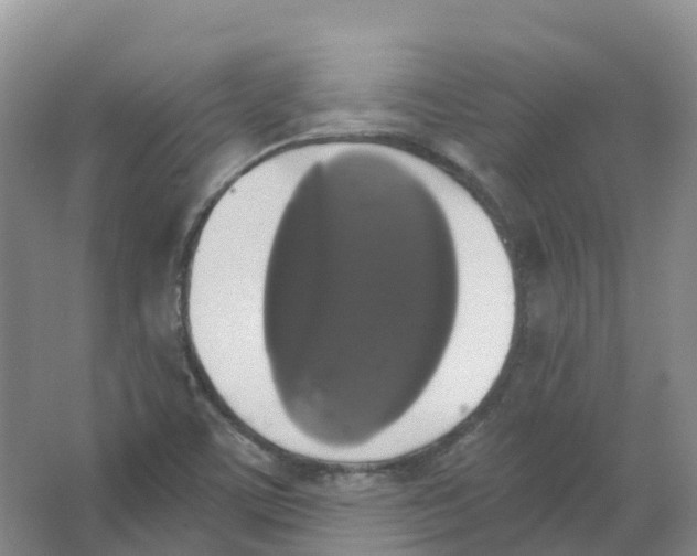 X0000066971459200604142128