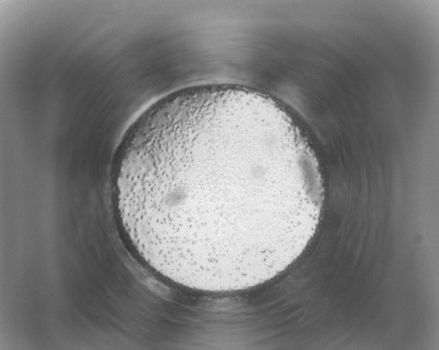 X0000066971460200604142128