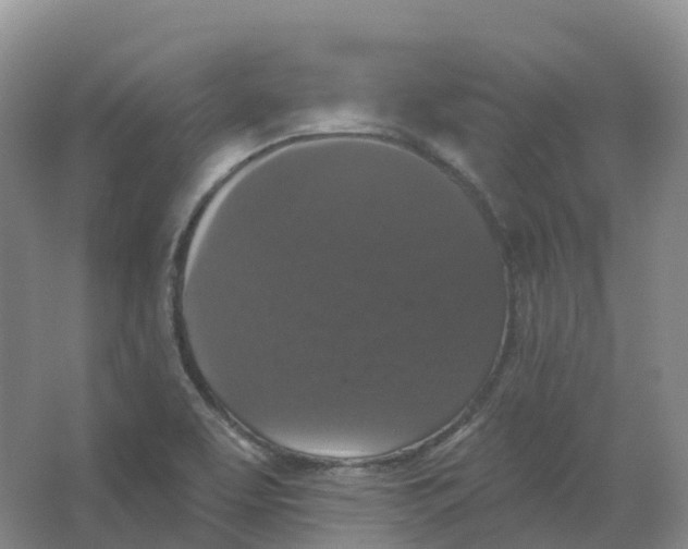 X0000066971463200604142128