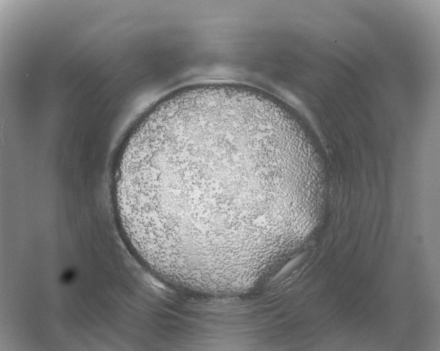 X0000066971464200604142128