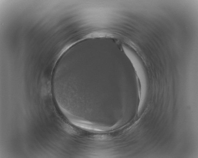 X0000066971465200604142128