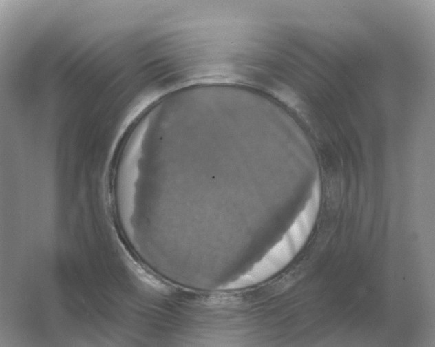 X0000066971466200604142128