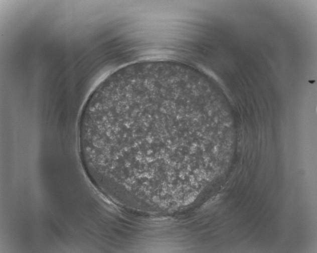 X0000066971467200604142128