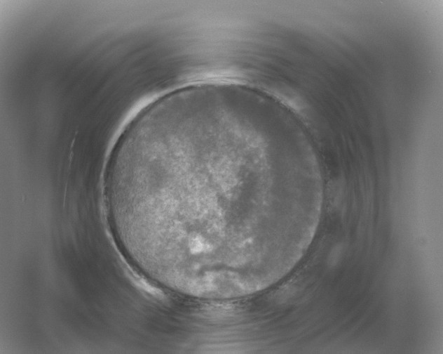 X0000066971470200604142128