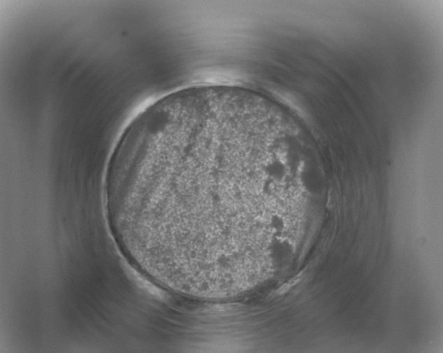 X0000066971471200604142128