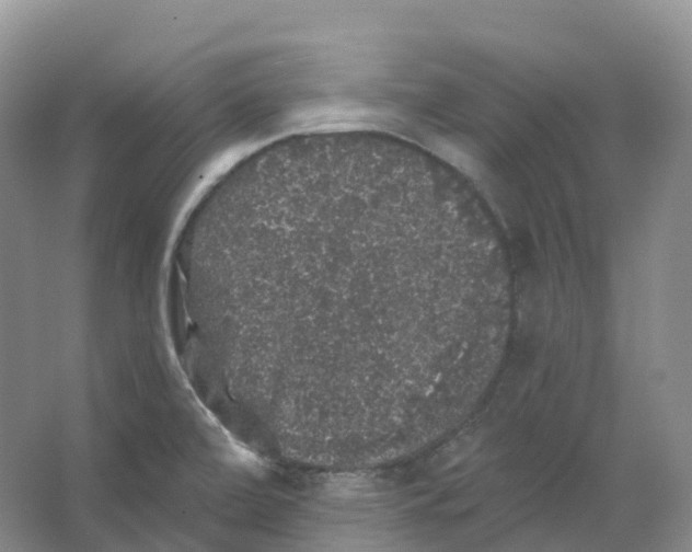 X0000066971472200604142128