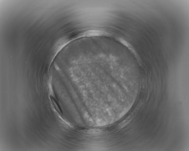 X0000066971473200604142128