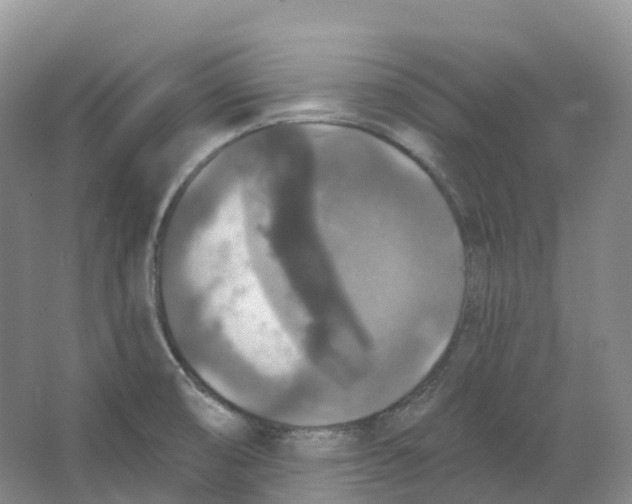 X0000066971474200604142128