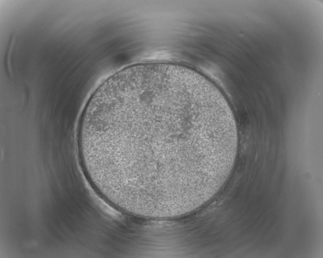 X0000066971475200604142128