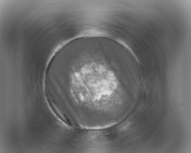 X0000066971477200604142128