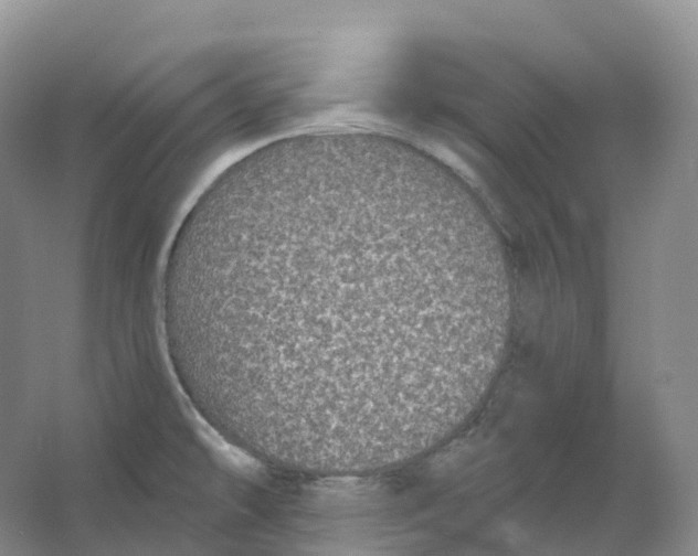 X0000066971478200604142128