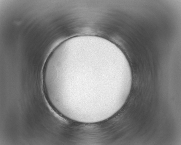 X0000066971479200604142128