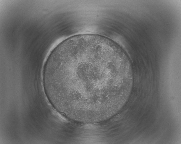 X0000066971480200604142128