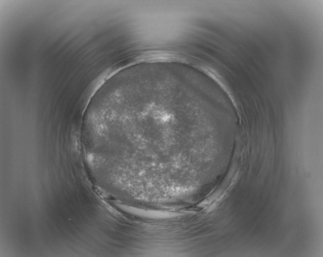 X0000066971481200604142128