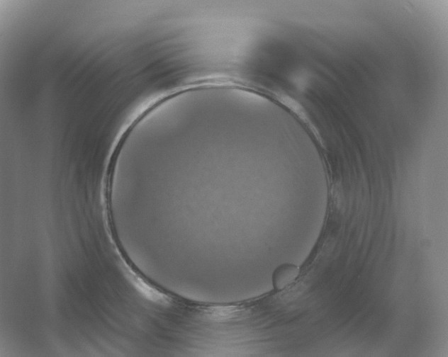 X0000066971482200604142128