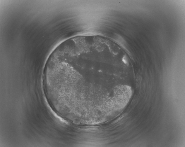 X0000066971484200604142128