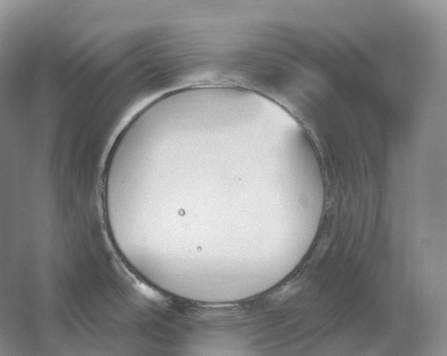 X0000066971486200604142128