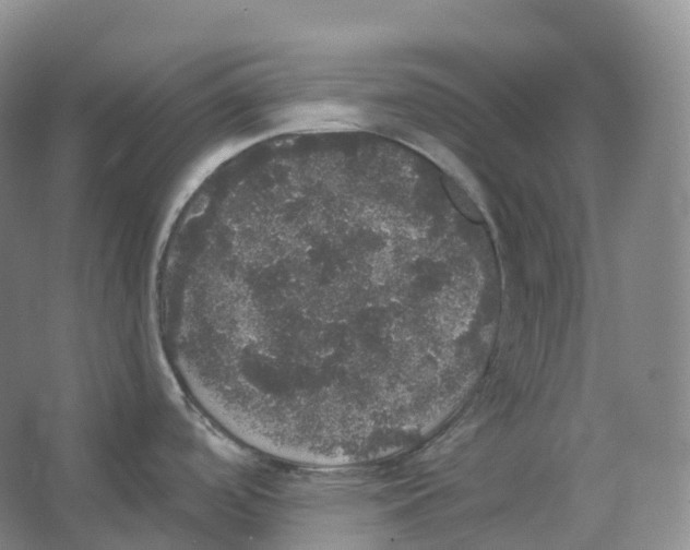 X0000066971488200604142128