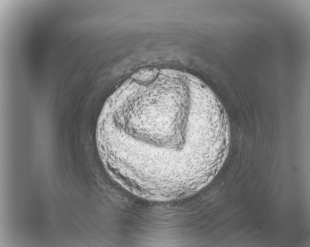 X0000066971489200604142127