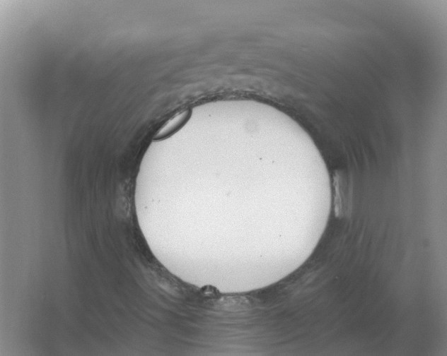 X0000066971491200604142127