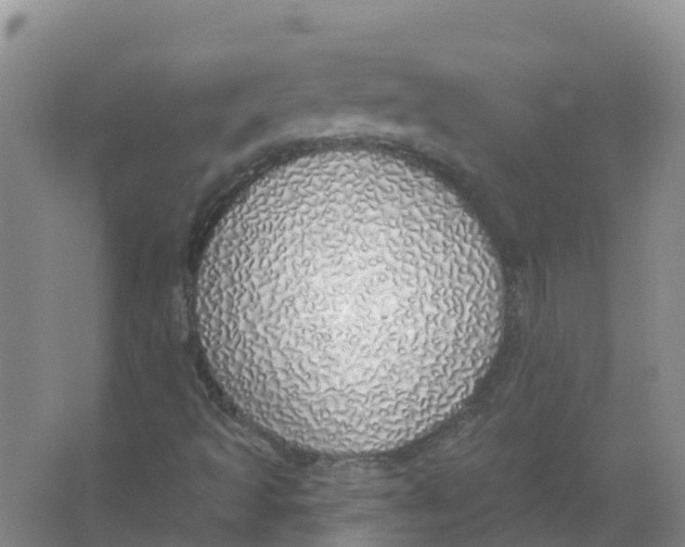 X0000066971493200604142127