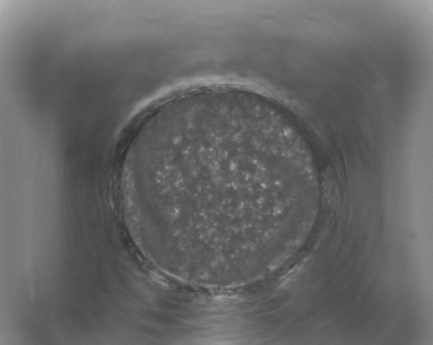 X0000066971494200604142127