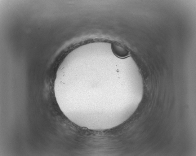 X0000066971495200604142127