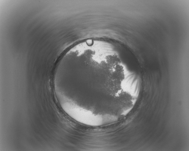 X0000066971497200604142127