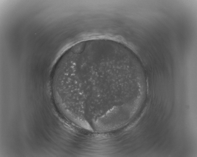 X0000066971501200604142127