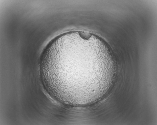 X0000066971503200604142127