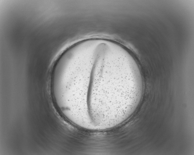 X0000066971504200604142127