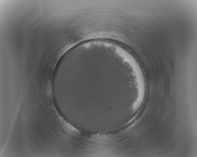 X0000066971505200604142127