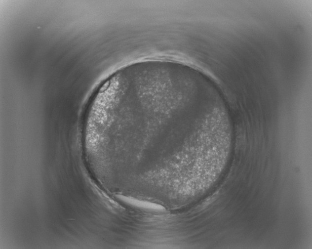 X0000066971506200604142127