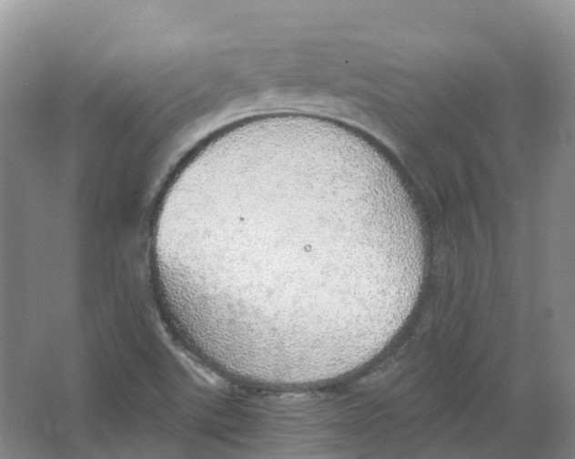 X0000066971507200604142127