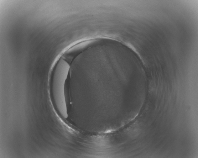 X0000066971508200604142127