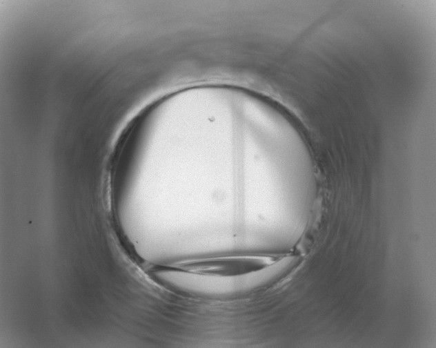 X0000066971510200604142127